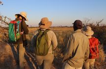3 Day Okavango Delta Mokoro Safari
