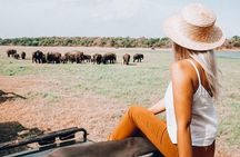 Half Day Minneriya National Park Safari from Habarana