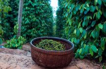 Sightseeing to the South of Phu Quoc Island and Relax on Sao Beach