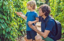 Sightseeing to the South of Phu Quoc Island and Relax on Sao Beach