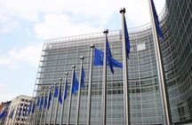 Private 2-Hour Sightseeing Tour in Brussels