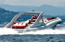 Luxury Opera 60 Whale & Dolphin Watching Experience 