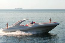 Luxury Opera 60 Whale & Dolphin Watching Experience 