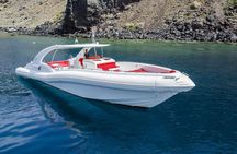 Luxury Opera 60 Whale & Dolphin Watching Experience 