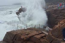Explore all the top spots of Acadia!