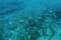 3HR Full Island Life Jetski Tour