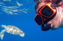 CAPTAIN ALAN'S 4hr -3 Islands-snorkeling-turtles-beach ADVENTURE