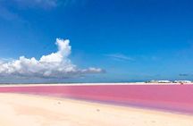 Natural Pink Lake Coloradas Transportation Included from Tulum