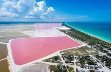 Wonderful Tour Las Coloradas & Buffete only from Cancun