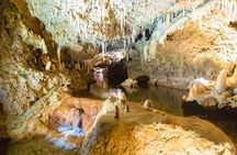 Barbados Harrison's Cave and Atlantis Submarine Dive Tour