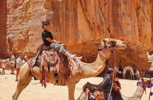 One Day Tour To Petra From Amman 