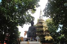 From Chiang Mai: White and Blue Temple & Golden Triangle Day Trip
