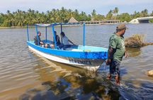 Lagoon Adventure: Jungle, Turtle Release & Cliff Diving Spectacle