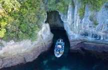 Whitianga: Cathedral Cove - Inside Sea Caves Boat Cruise