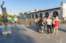 Historic Ljubljana Tour with Ljubljana Castle included