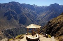 Colca Full Day