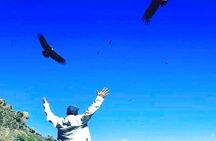 Colca Full Day