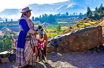 Colca Full Day