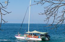 Whale Watching Expedition