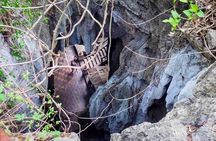 Full Day Tour from Siem Reap - Bamboo Train, Killing Cave & Sunset