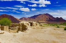 7 days Great Gobi Tour 