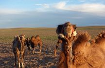 7 days Great Gobi Tour 