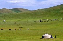 7 days Central Mongolia and Great Gobi