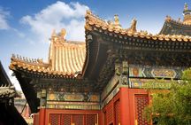 Full-Day Beijing City Tour: Hutongs, Lama Temple and Panda House