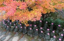 Full Day Tour on Your Arrangement