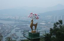 Sanya Shore Excursion: Sanya Luhuitou Park & Local Grocery Market visit