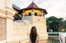  Kandy Sightseeing Day Tour from Colombo (All Inclusive)