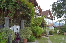Cameron Highlands: Mossy Forest Tour