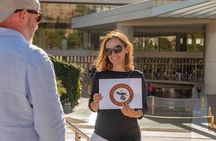 Acropolis SKIP-THE-LINE Tickets Private Tour with Licensed Guide