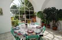 Lunch or dinner and cooking demo at a local home in Vico Equense
