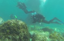 Discover scuba diving