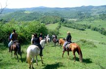 Horse riding excursion