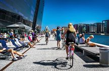 Complete Copenhagen Private Bike Tour