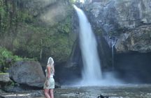 Ubud Monkey Forest Sanctuary Tours and Cretya 