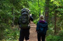 Magical Taiga Forest Hike with Lunch and Transportation