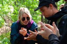 Magical Taiga Forest Hike with Lunch and Transportation