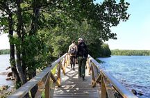 Magical Taiga Forest Hike with Lunch and Transportation