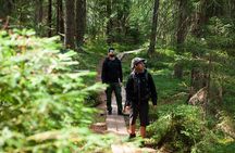 Magical Taiga Forest Hike with Lunch and Transportation
