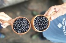 Berry Picking in a National Park