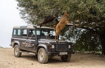 Land Rover Safari Minoan Route with driver and lunch