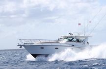 Saona island Private luxury Yacht Full day