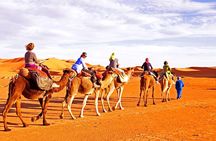 Red Dunes Desert Safari, Sand Board, Camel Ride with BBQ Dinner 