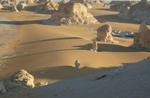 Bahariya Oasis Camp 2 Days 1 Night To From Cairo and Giza 4X4