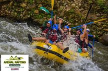 Upper Balsa River White Water Rafting Class 3/4 in Costa Rica