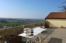 Winetour and tasting on Bologna hills, guided by the wine grower