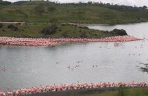 Arusha National Park Day Tour with Walking Safari & Canoeing 